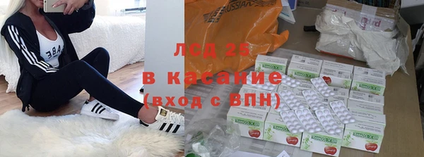 ГАЛЛЮЦИНОГЕННЫЕ ГРИБЫ Абинск
