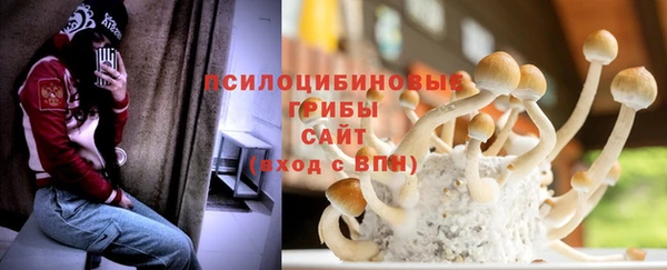 СК Абаза