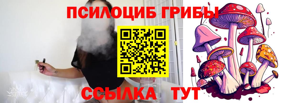 Псилоцибиновые грибы прущие грибы Киров